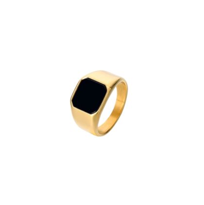 PUPPIS Stainless Steel Ring