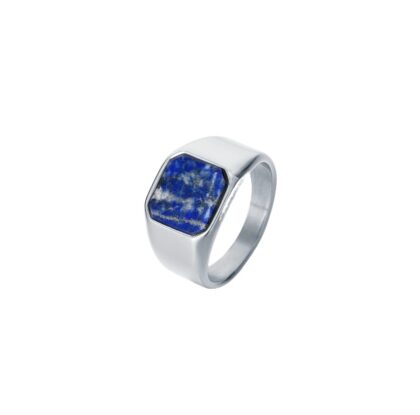 PUPPIS Stainless Steel Ring